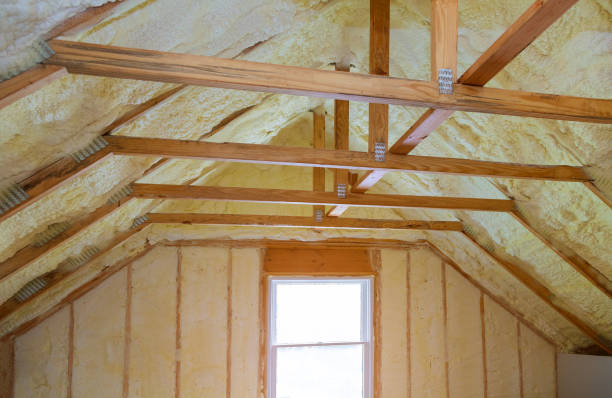 Best Residential Insulation in Dousman, WI
