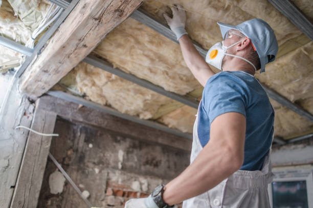 Best Insulation Maintenance and Repair in Dousman, WI