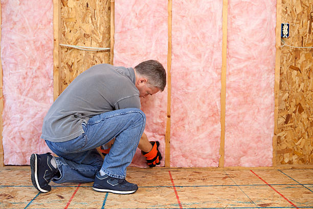 Best Eco-Friendly Insulation in Dousman, WI