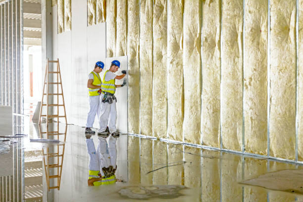 Types of Insulation We Offer in Dousman, WI